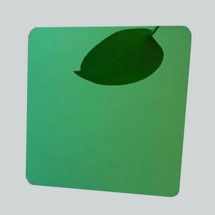 Color-coated stainless steel plate70