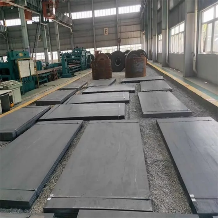 Carbon steel plate0064