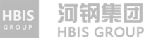 HBIS Group logo